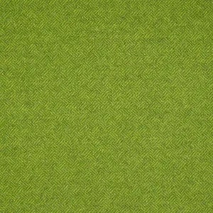 green plain woolen fabric from Abraham Moon & Sons