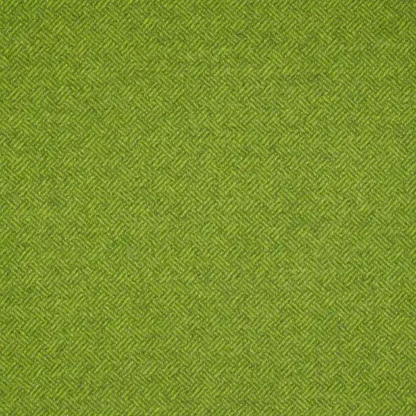 green plain woolen fabric from Abraham Moon & Sons
