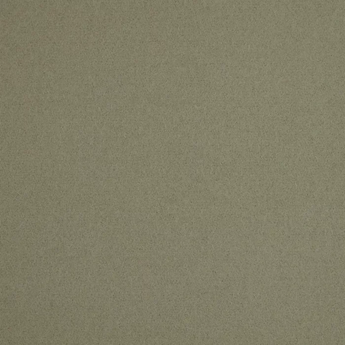 Spectrum Fabric - Sage swatch