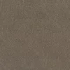 brown botanical misc fabric from Osborne & Little