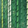 green botanical wallpaper from osborne & little