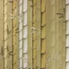 yellow botanical wallpaper from osborne & little