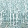 blue botanical wallpaper from osborne & little