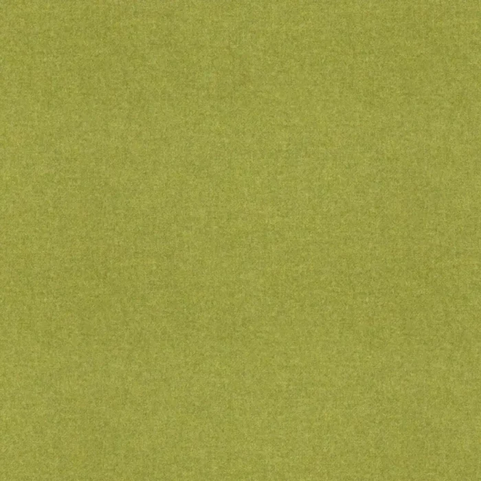 Earth Fabric - Lime swatch