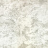 neutral botanical wallpaper from romo