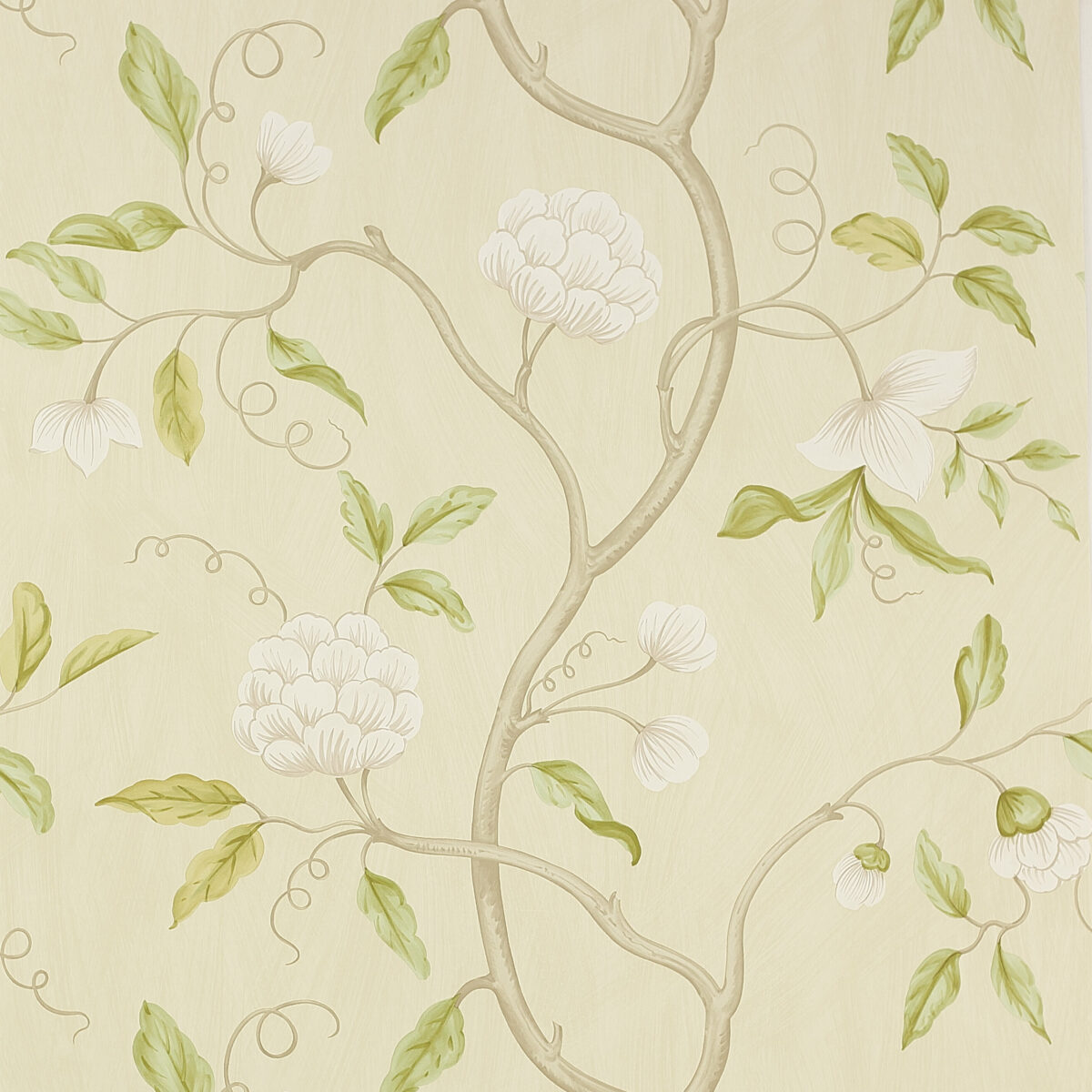 Snow Tree Wallpaper - Ivory by yellow botanical wallpaper from colefax & fowler