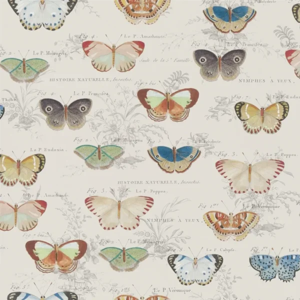 Butterfly Studies Wallpaper - Parchment by neutral animal wallpaper from john derian
