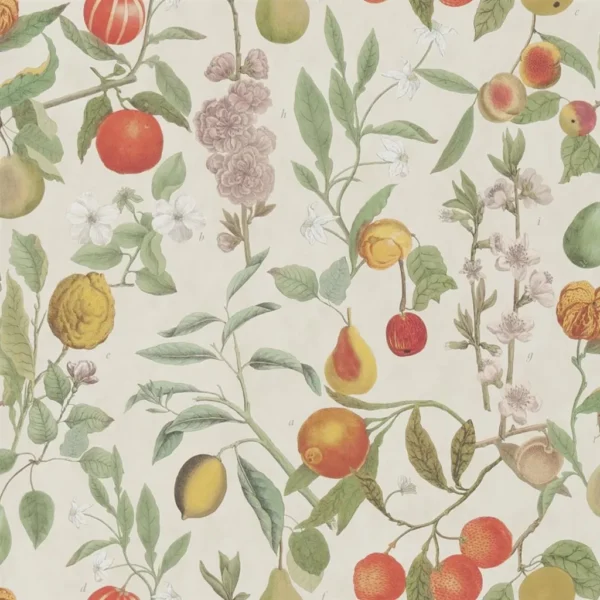 Orchard Fruits Wallpaper - Parchment by multicolour botanical wallpaper from john derian