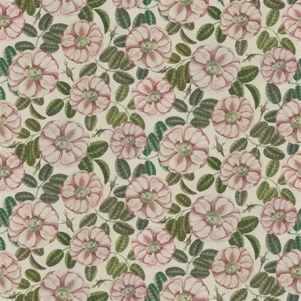 La Rose Fabric - Rose by pink botanical cotton fabric from John Derian