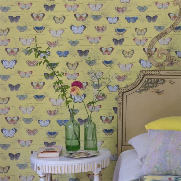 Butterfly Studies Wallpaper - Mimosa from