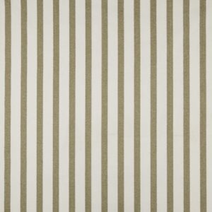 green striped woven fabric from iLiv