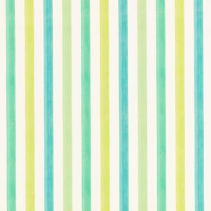 blue striped printed fabric from Villa Nova