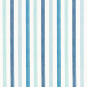 blue striped printed fabric from Villa Nova
