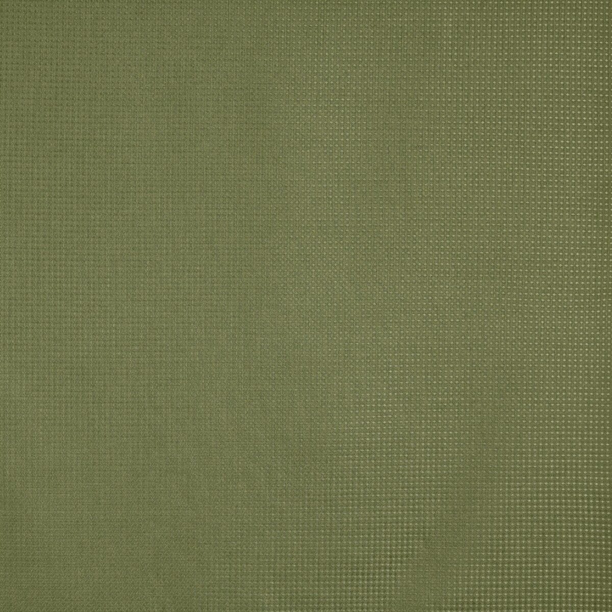 Caro Fabric - Spruce by green plain woven fabric from Prestigious Textiles