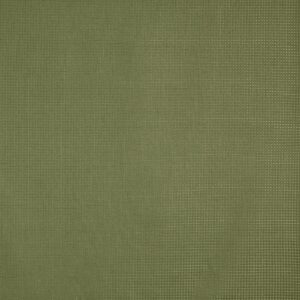 green plain woven fabric from Prestigious Textiles
