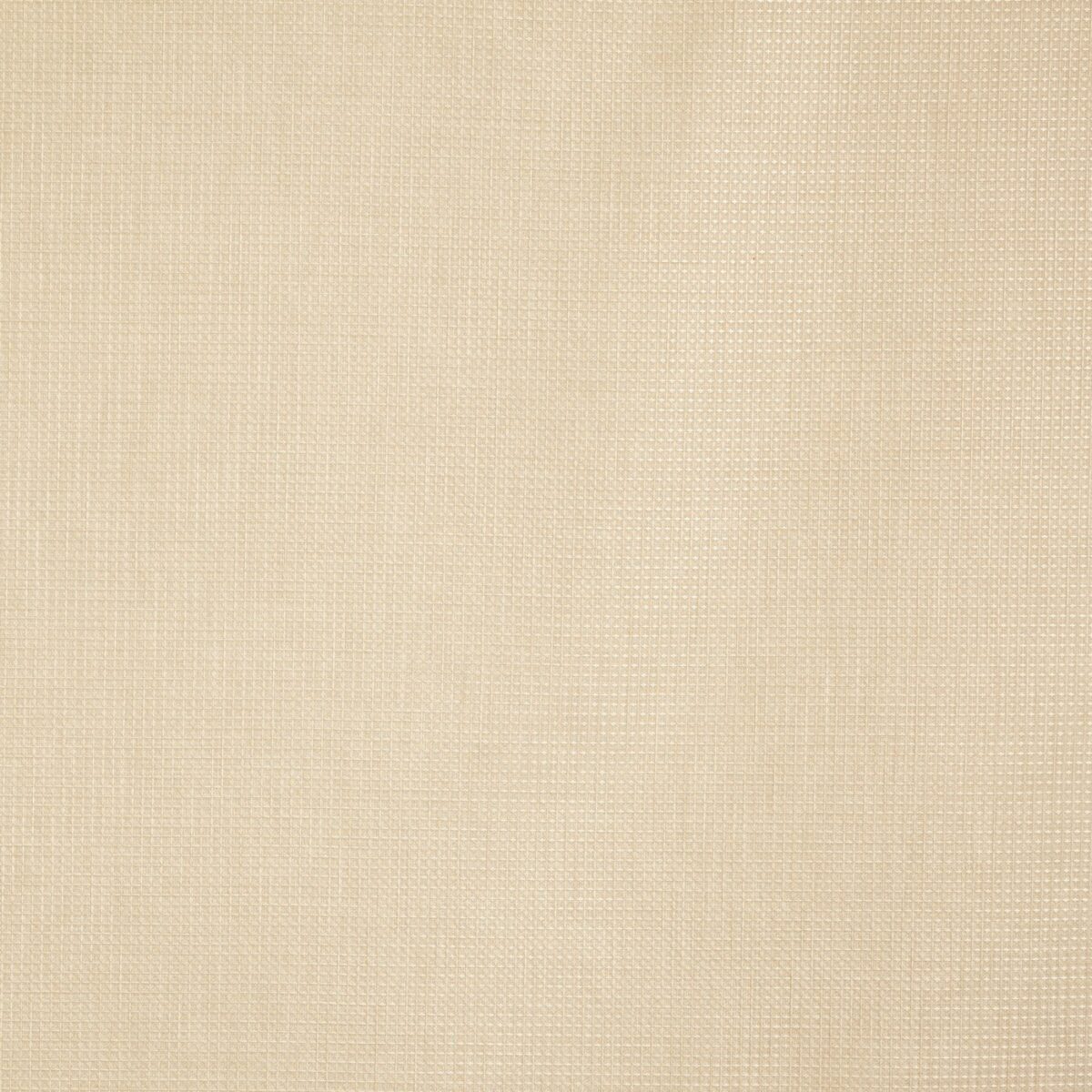 Caro Fabric - Sand by neutral plain woven fabric from Prestigious Textiles