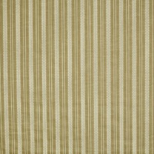 green striped embroideried fabric from Prestigious Textiles