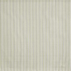 green striped cotton fabric from Prestigious Textiles