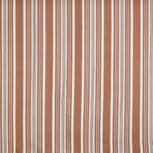 orange striped cotton fabric from Prestigious Textiles