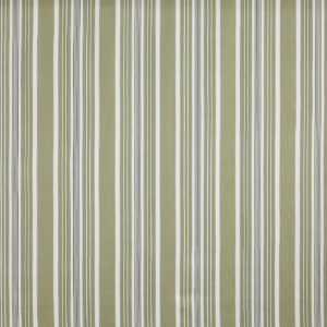 green striped cotton fabric from Prestigious Textiles