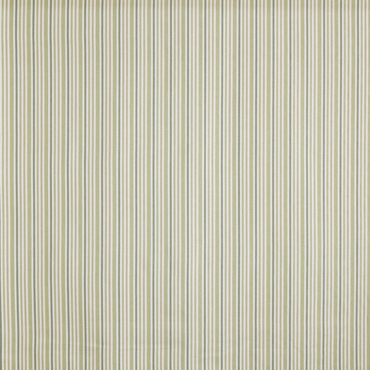 Towan Fabric - Sea Weed by green striped cotton fabric from Prestigious Textiles