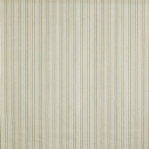 green striped cotton fabric from Prestigious Textiles