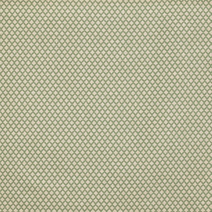 Ervan Fabric - Sea Weed swatch