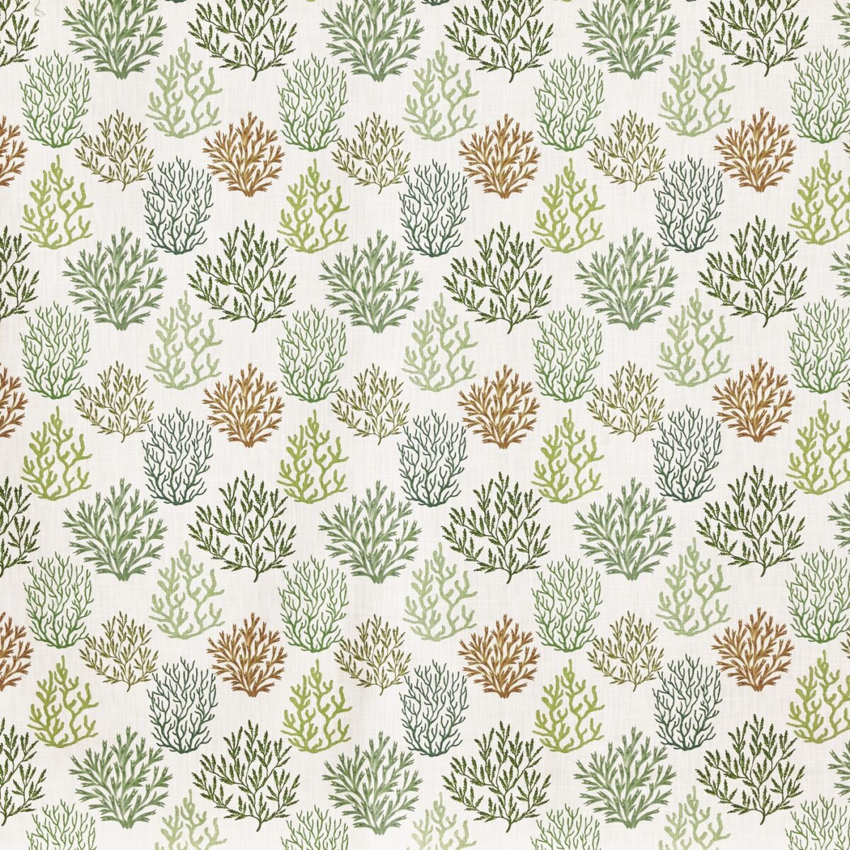 Fistral Fabric - Sea Weed by green botanical printed fabric from Prestigious Textiles
