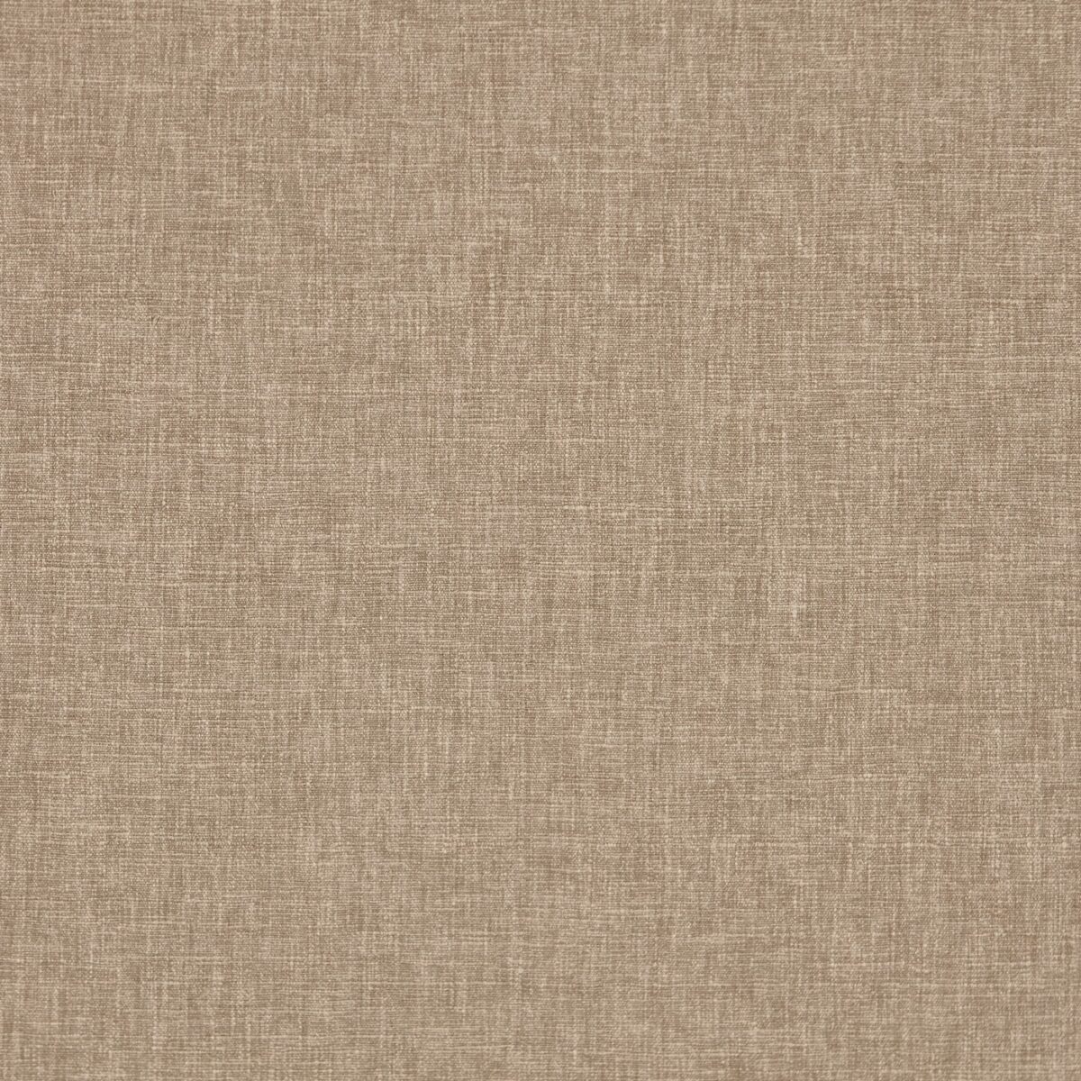 neutral plain cotton fabric from Prestigious Textiles