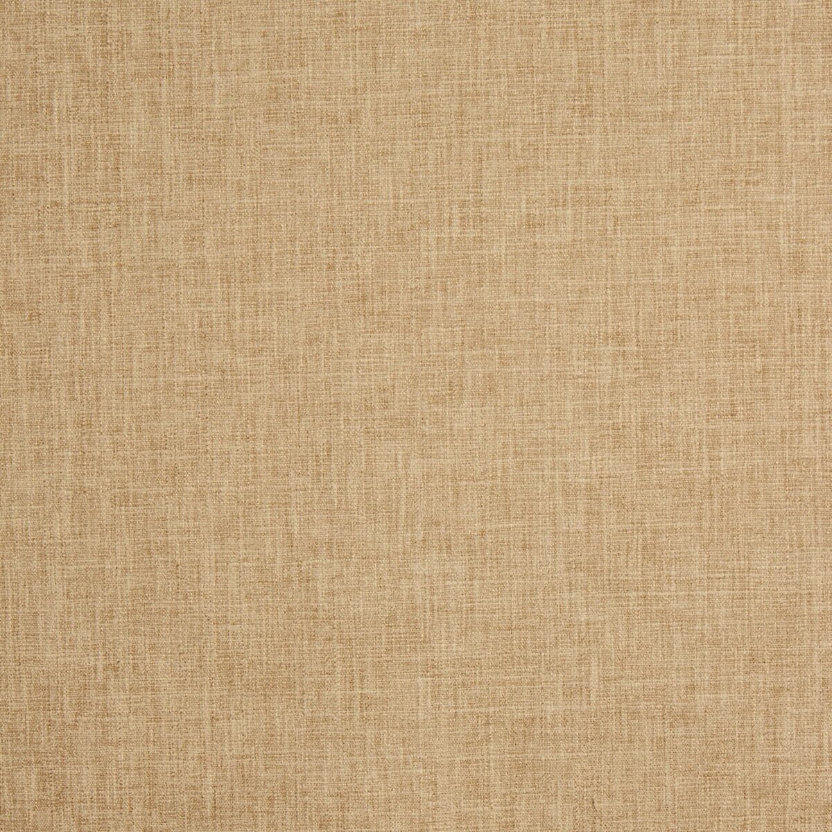 Iceland Fabric - Wheat by yellow plain cotton fabric from Prestigious Textiles