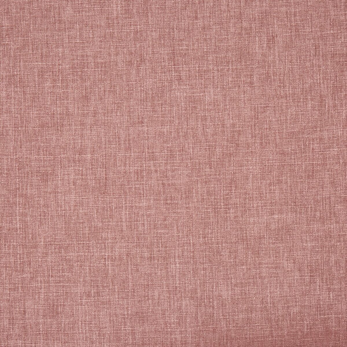pink plain cotton fabric from Prestigious Textiles