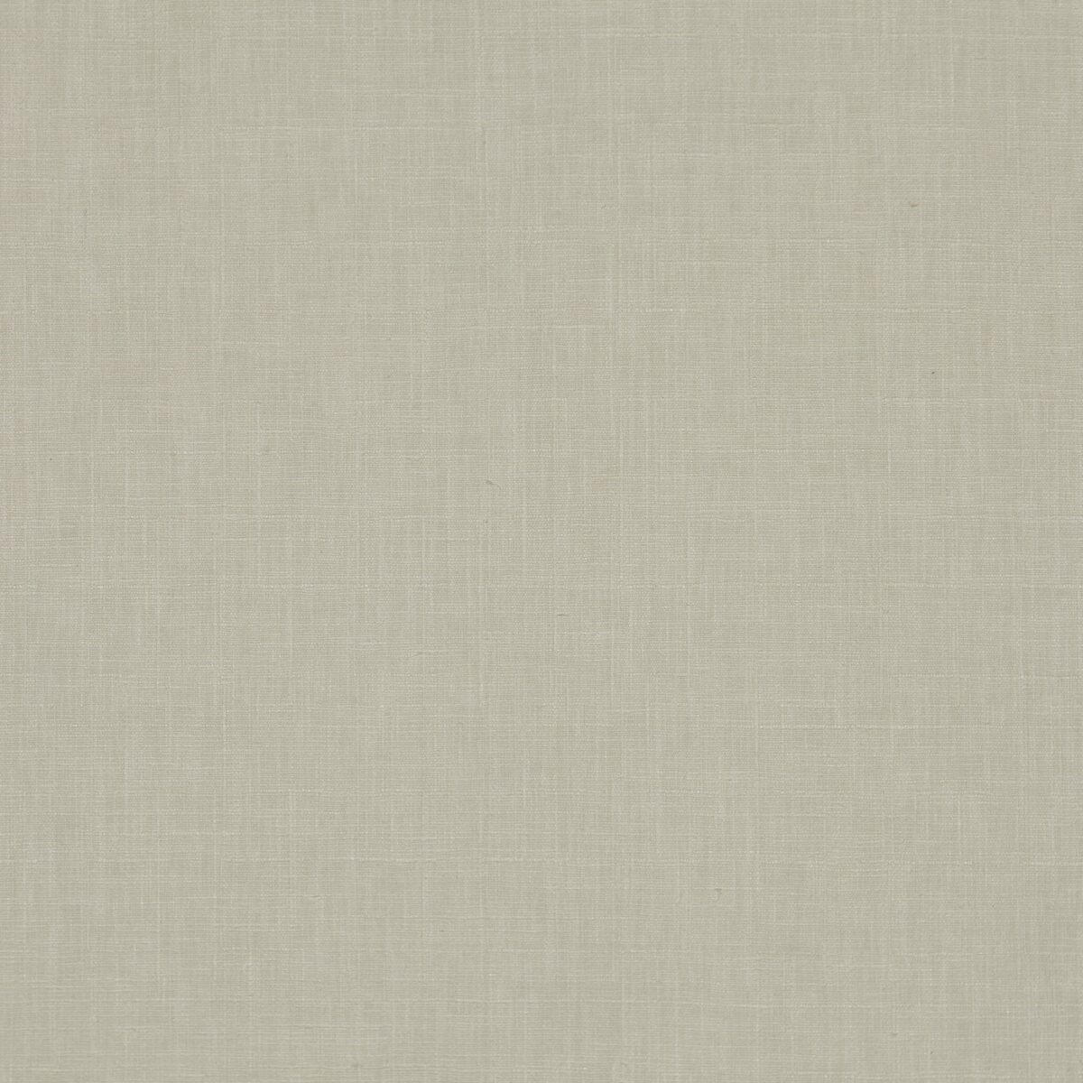 neutral plain cotton fabric from Prestigious Textiles