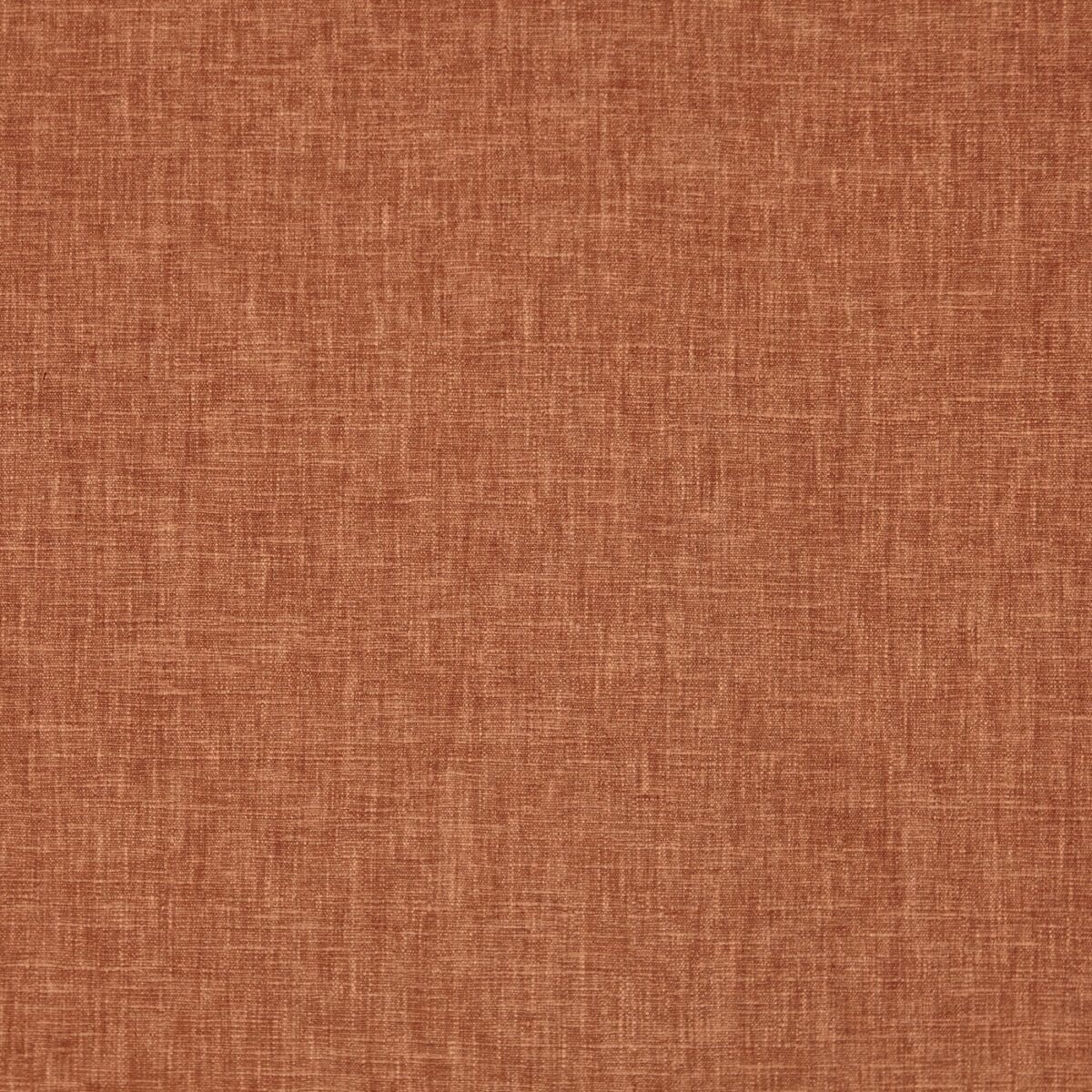 orange plain cotton fabric from Prestigious Textiles