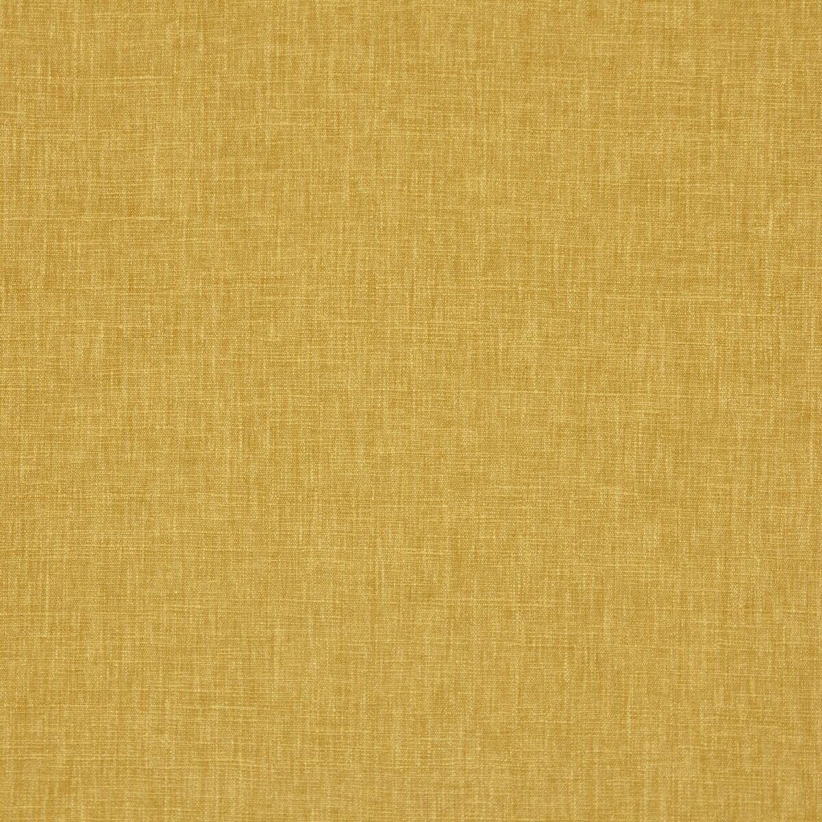 yellow plain cotton fabric from Prestigious Textiles