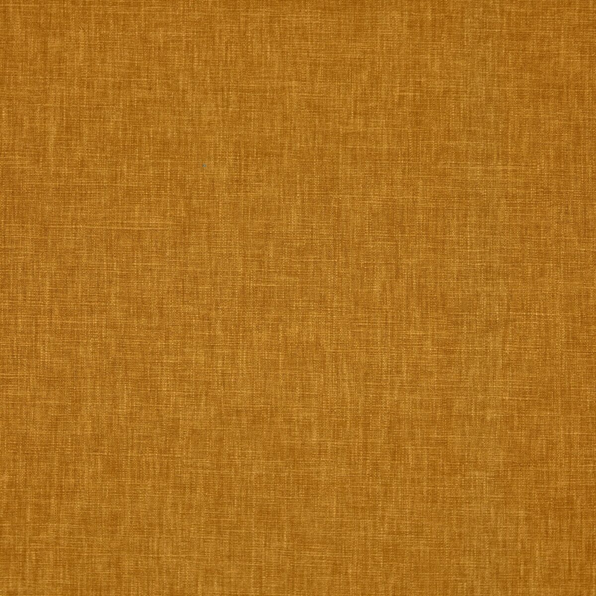 Iceland Fabric - Honey by orange plain cotton fabric from Prestigious Textiles