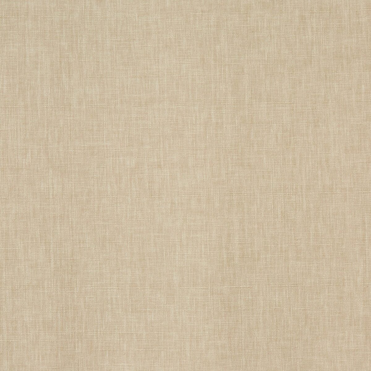 neutral plain cotton fabric from Prestigious Textiles