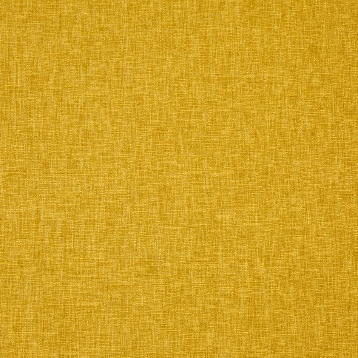 yellow plain cotton fabric from Prestigious Textiles