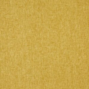 yellow plain cotton fabric from Prestigious Textiles