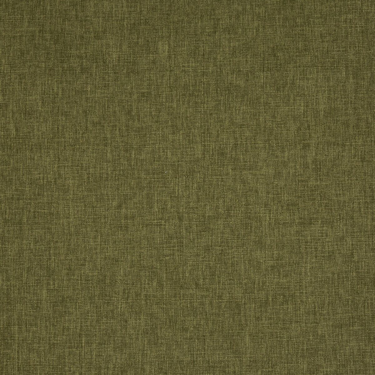 green plain cotton fabric from Prestigious Textiles