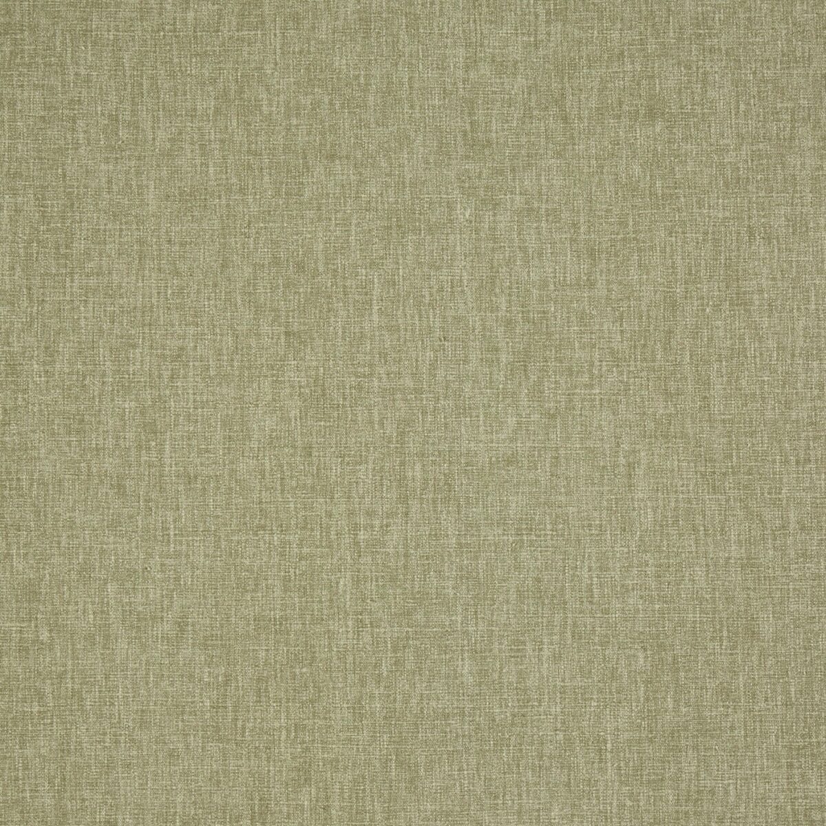 Iceland Fabric - Fern by green plain cotton fabric from Prestigious Textiles