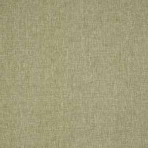green plain cotton fabric from Prestigious Textiles