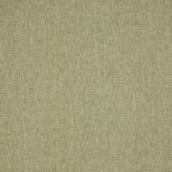 green plain cotton fabric from Prestigious Textiles