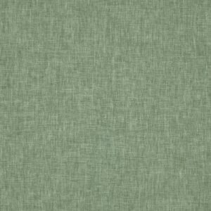 green plain cotton fabric from Prestigious Textiles