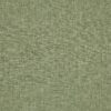 green plain cotton fabric from Prestigious Textiles