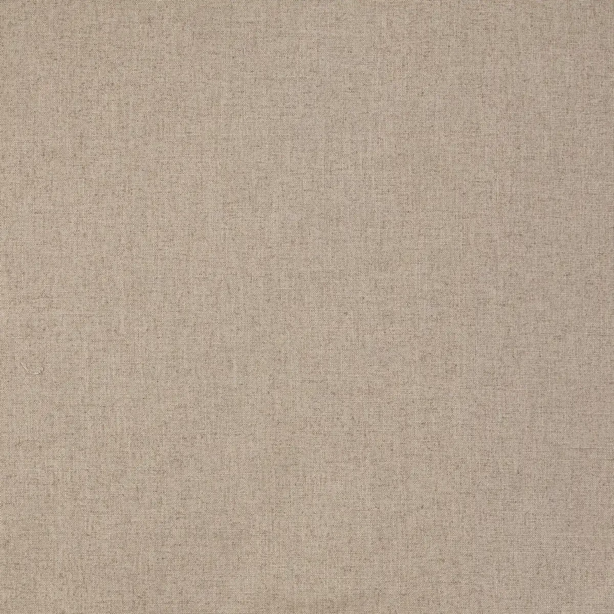 Capri Fabric - Latte by brown plain linen fabric from Prestigious Textiles