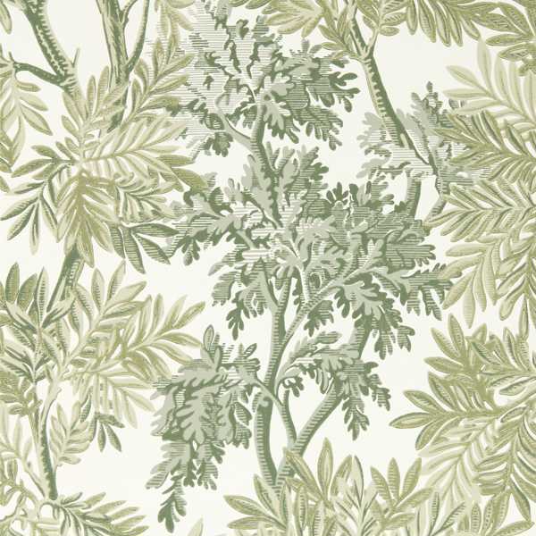 Tapestry Trees Wallcovering - Forest / Willow by green botanical wallpaper from sanderson