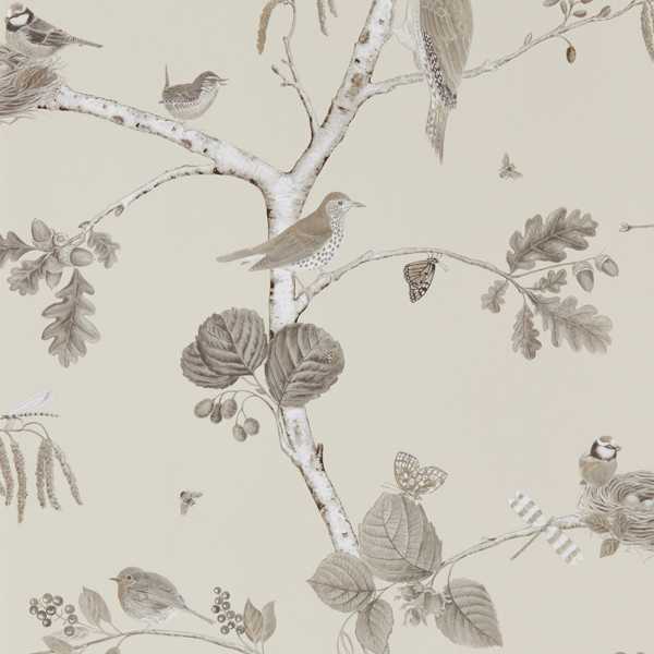 Woodland Chorus Wallcovering - Sepia / Neutral by brown animal wallpaper from sanderson