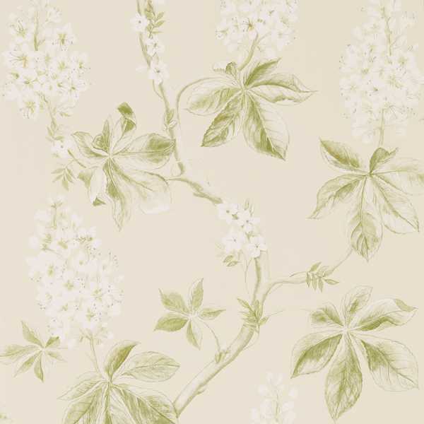 Chestnut Tree Wallcovering - Lemon / Lettuce by green botanical wallpaper from sanderson