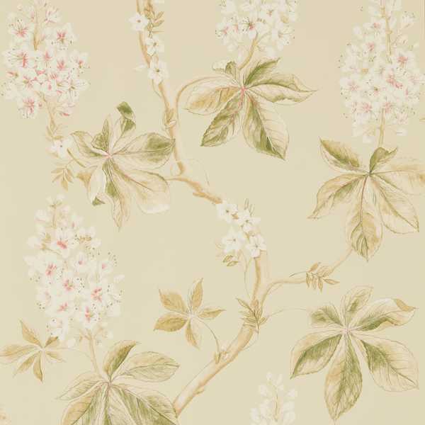 Chestnut Tree Wallcovering - Coral / Bayleaf by pink botanical wallpaper from sanderson