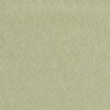 green plain cotton fabric from Sanderson
